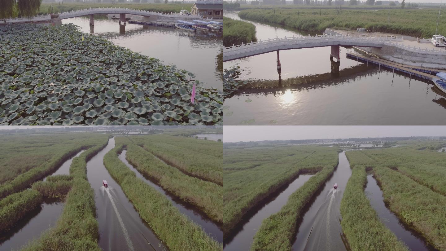 河流小船荷花夕阳航拍4K