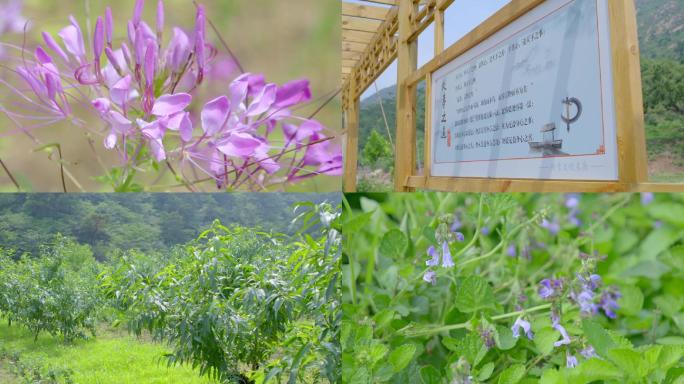 唐山迁安市塔寺域景区风光项目体验3-