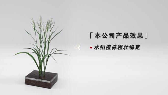 好水稻特点