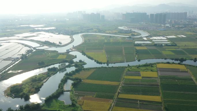 2k超长航拍蜿蜒河流边的水稻