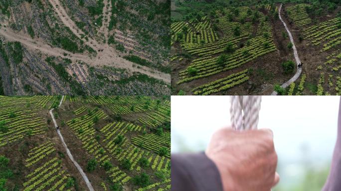 挑担子背夫山间田地航拍4K