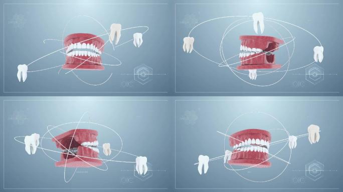 三维口腔牙齿动画展示视频