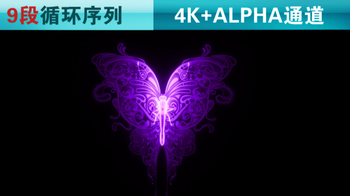 4k梦幻蝴蝶循环9段-粉紫