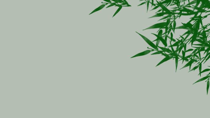 竹叶-无缝循环带透明通道