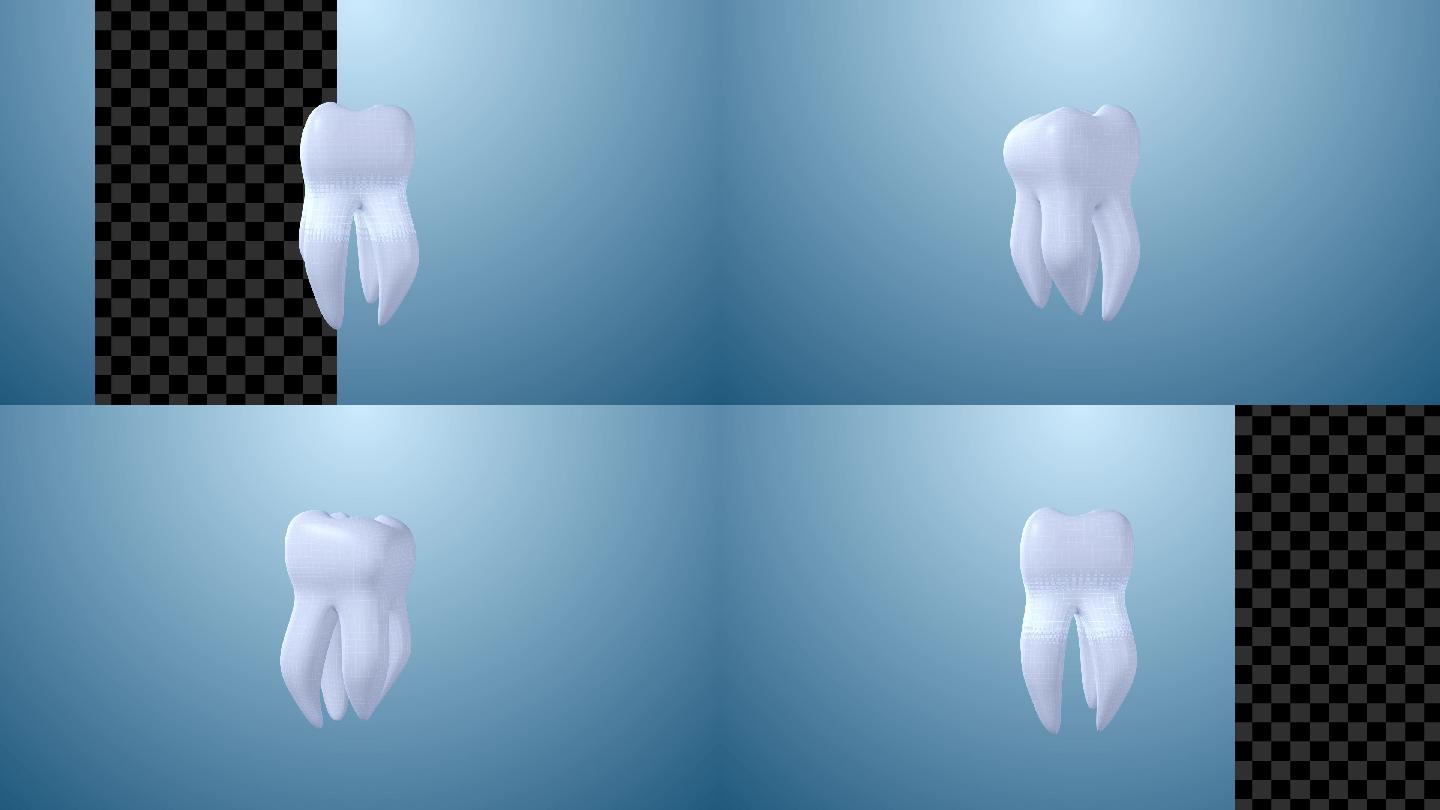 （带通道）4K白色牙齿三维动画视频