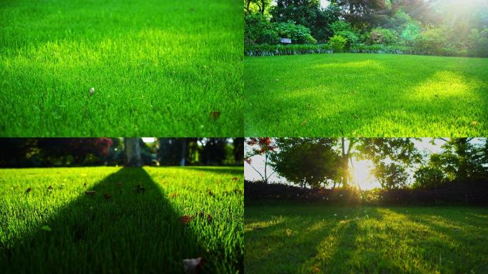 城市草坪唯美逆光草地生态城市绿色城市