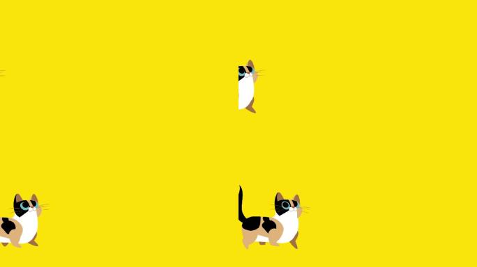 可爱的走路小猫