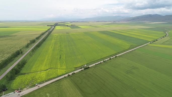 航拍新疆稻田公路乡下风景