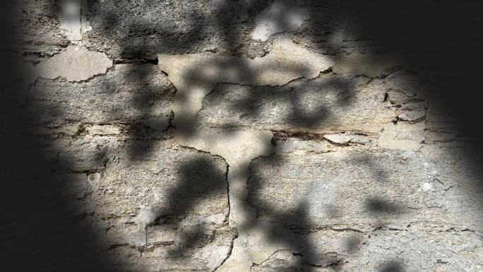 石头墙上晃动的树影