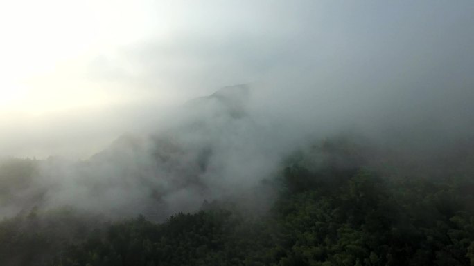 温州泽雅风景区清晨风光1