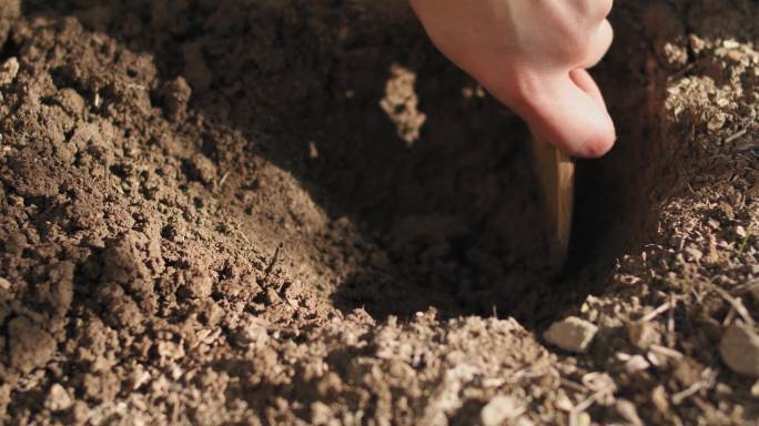 4K木铲挖土挖坑土地土壤栽种植物