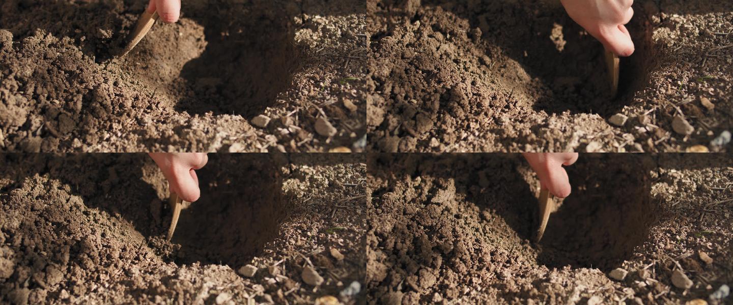 4K木铲挖土挖坑土地土壤栽种植物