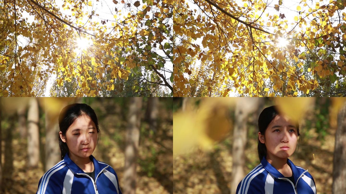 秋天女孩中学生落叶阳光树叶