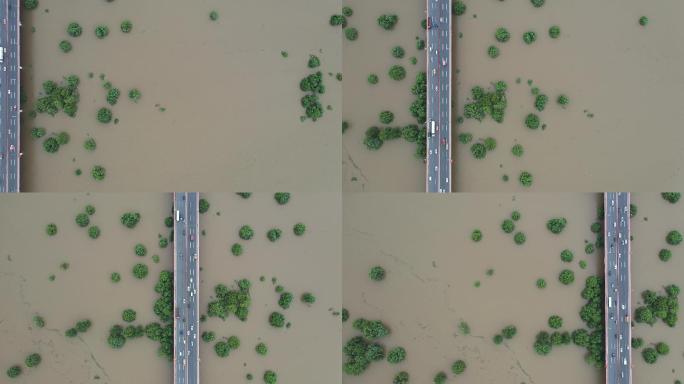 4k航拍武汉白沙洲长江大桥洪水