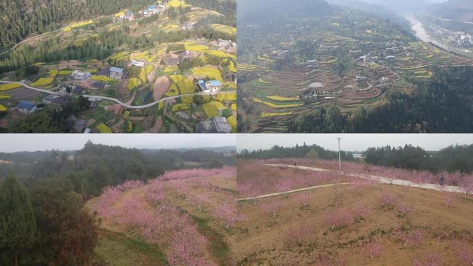 梯田油菜花大棚桃花梨花航拍