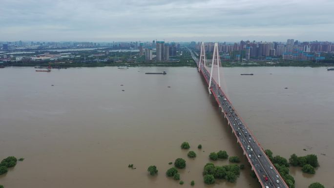 4k武汉白沙洲洪水航拍