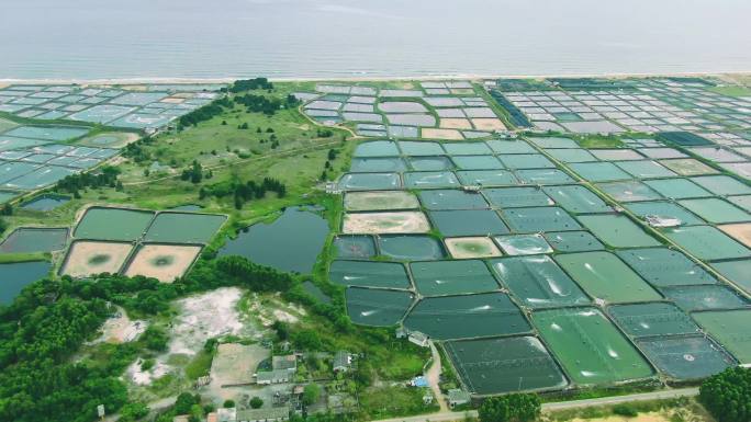 大型海鲜养殖场航拍