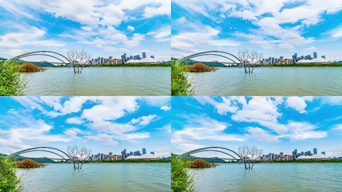 邕江风景 南宁大桥 广西文化艺术中心