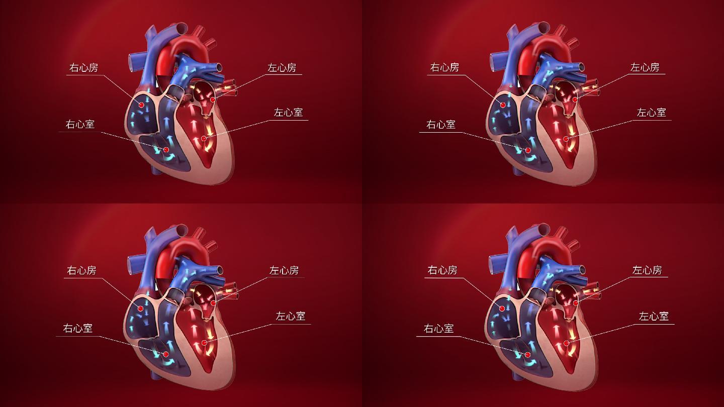 他的“心脏”每天要充电，华南首例人工心脏植入患者出院了_南方plus_南方+