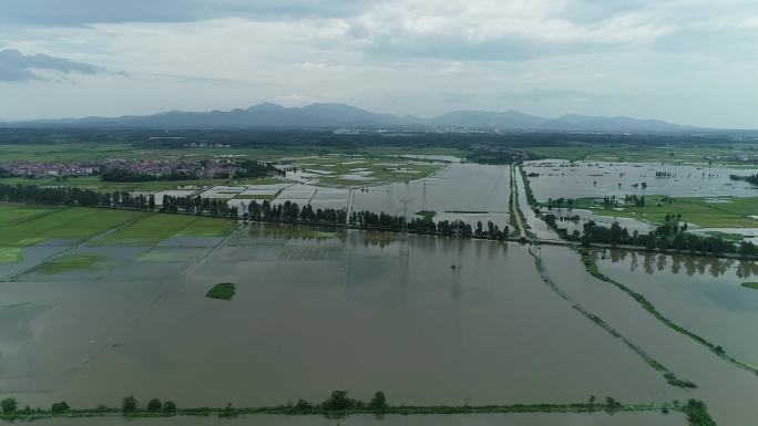 洪水洪灾洪涝淹没村庄农作物