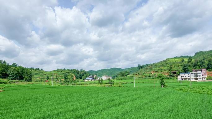 4K黑卡延时地城农村稻田10秒