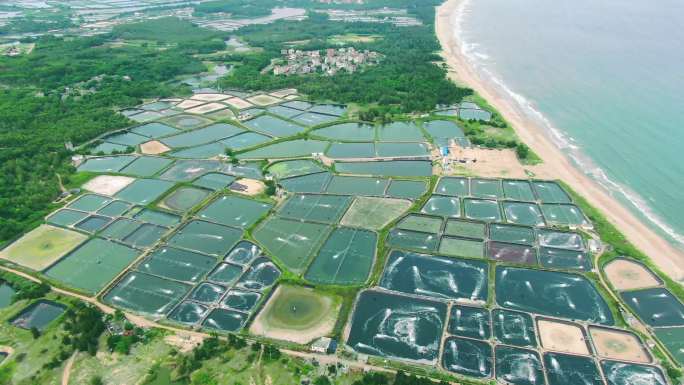 海边水产基地航拍4k超清调色宣传片画质