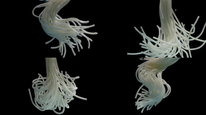 水里跳舞的米粉螺蛳粉创意拍摄可用