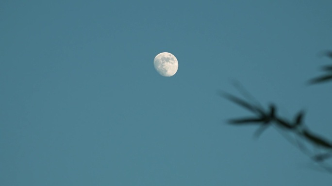 竹枝月亮