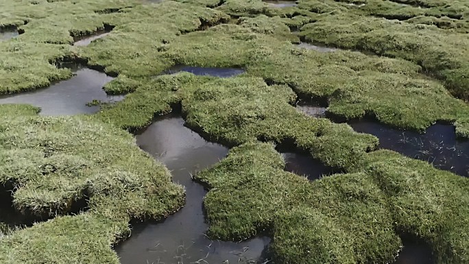 湿地-沼泽-草地-草原-水源涵养