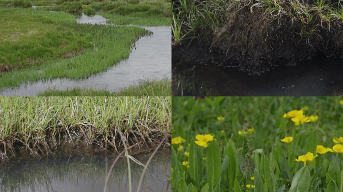 湿地-沼泽-草地-草原-水源涵养