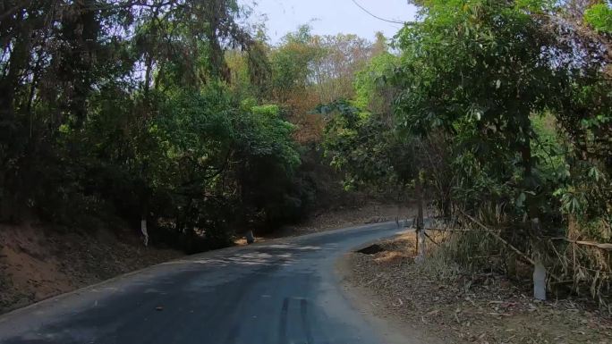 中缅边境，云南临沧老公路两边的树木和植被