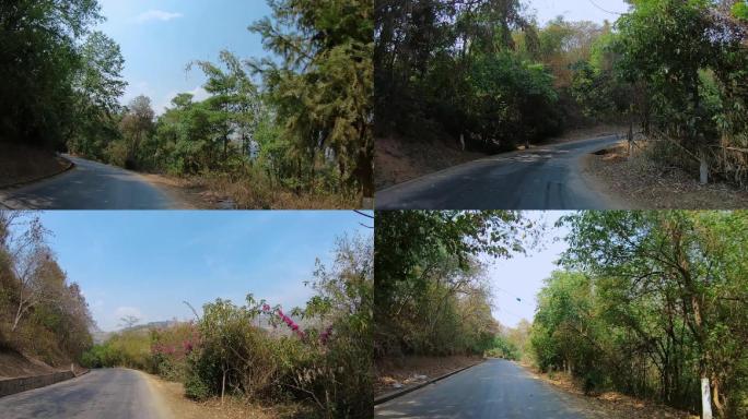 中缅边境，云南临沧老公路两边的树木和植被