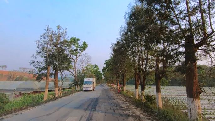 云南勐海近郊的老公路