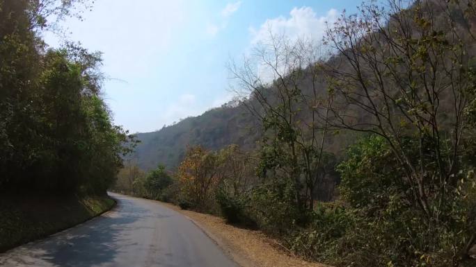 中缅边境，云南临沧老公路两边的树木植被