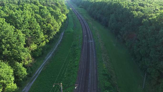 4K树林间的铁路网红铁路铁轨火车