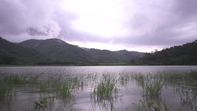 灰度高清雨后原野水库池塘雨过天晴