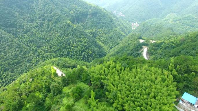 温州泽雅大川村稻田竹林山路