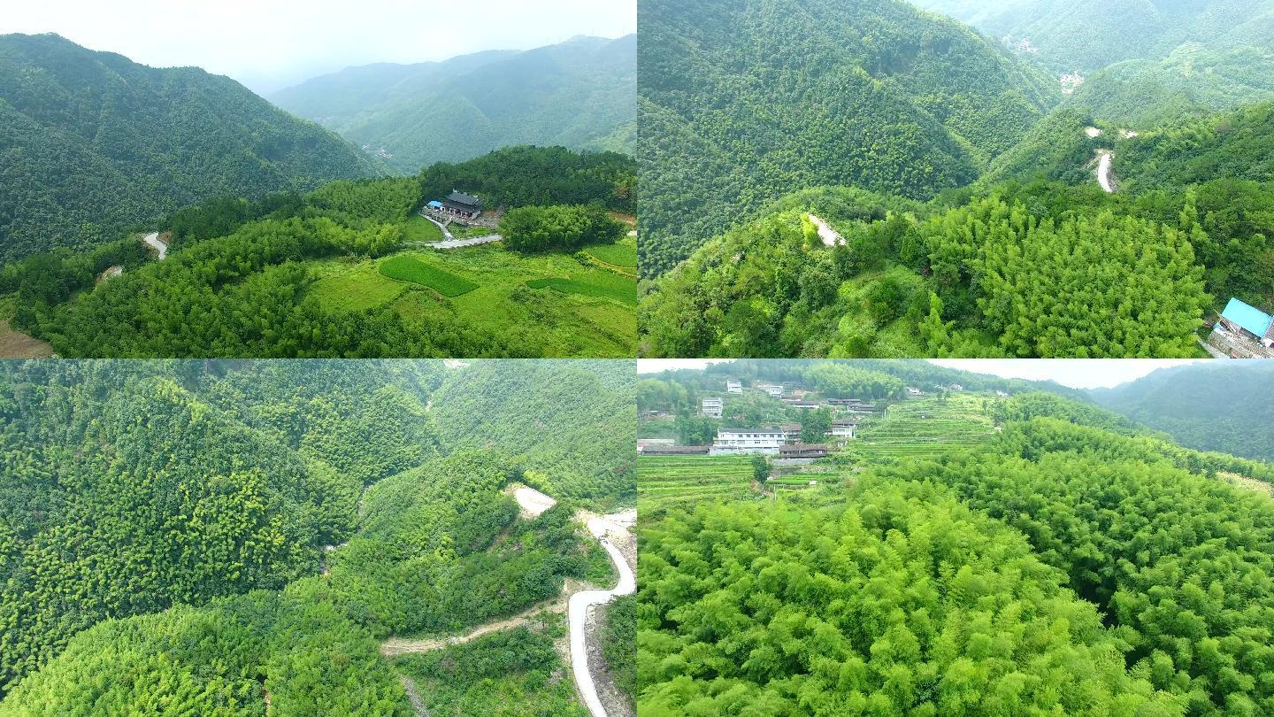 温州泽雅大川村稻田竹林山路