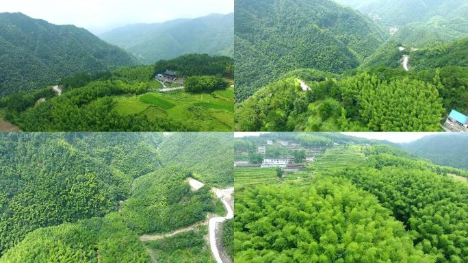 温州泽雅大川村稻田竹林山路