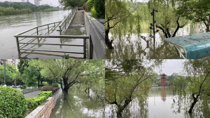 2020.7.17南京秦淮河防洪汛期水位