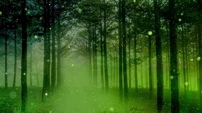 绿色神秘森林