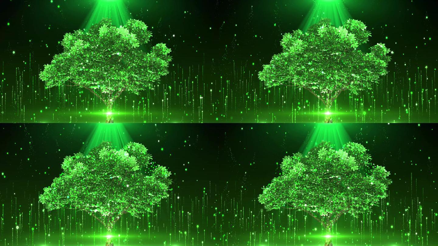 4k梦幻绿色树光影舞台循环_4096x2304_高清视频素材下载(编号:4784920
