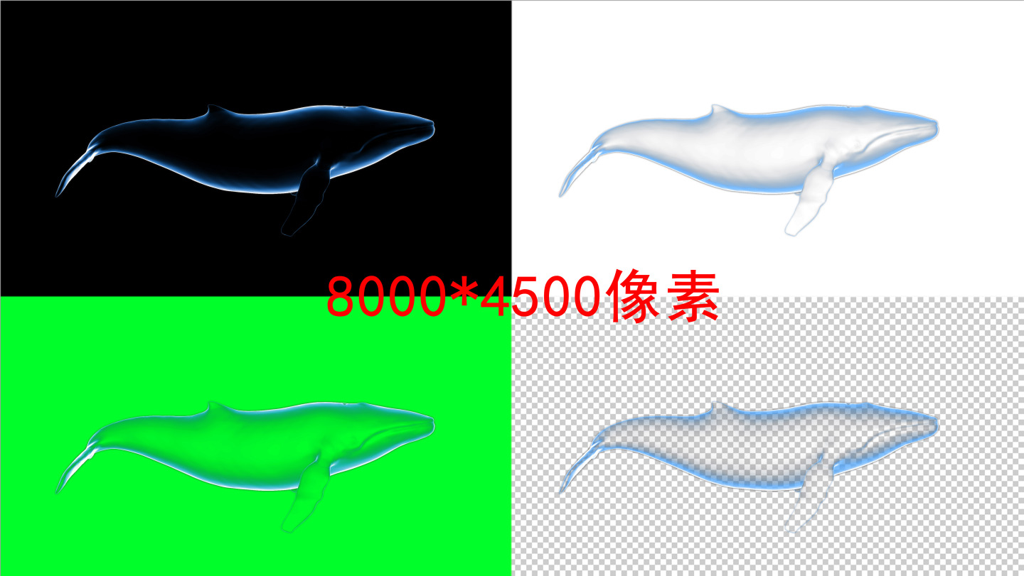粒子发光鲸鱼8k（01）-绿屏抠像