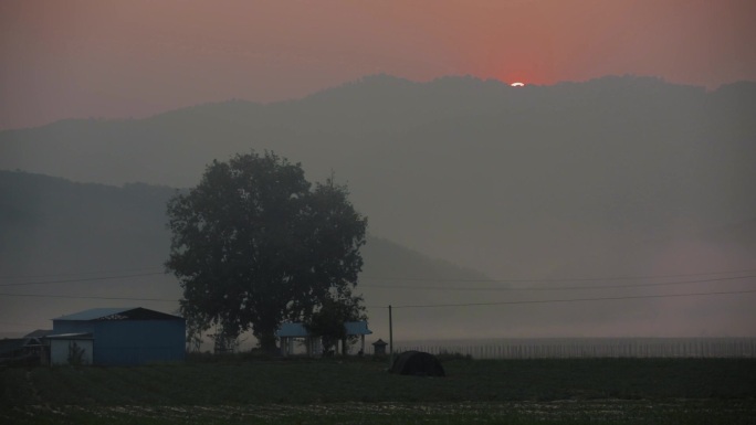 云南临沧，太阳落山一瞬时的田野和一棵大树