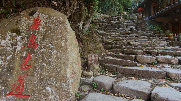 石头路台阶视频云南普洱那柯里茶马古道遗址