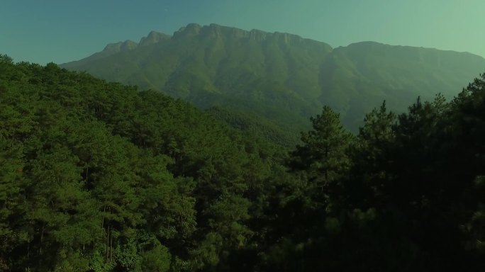 山青水秀天然氧吧森林公园