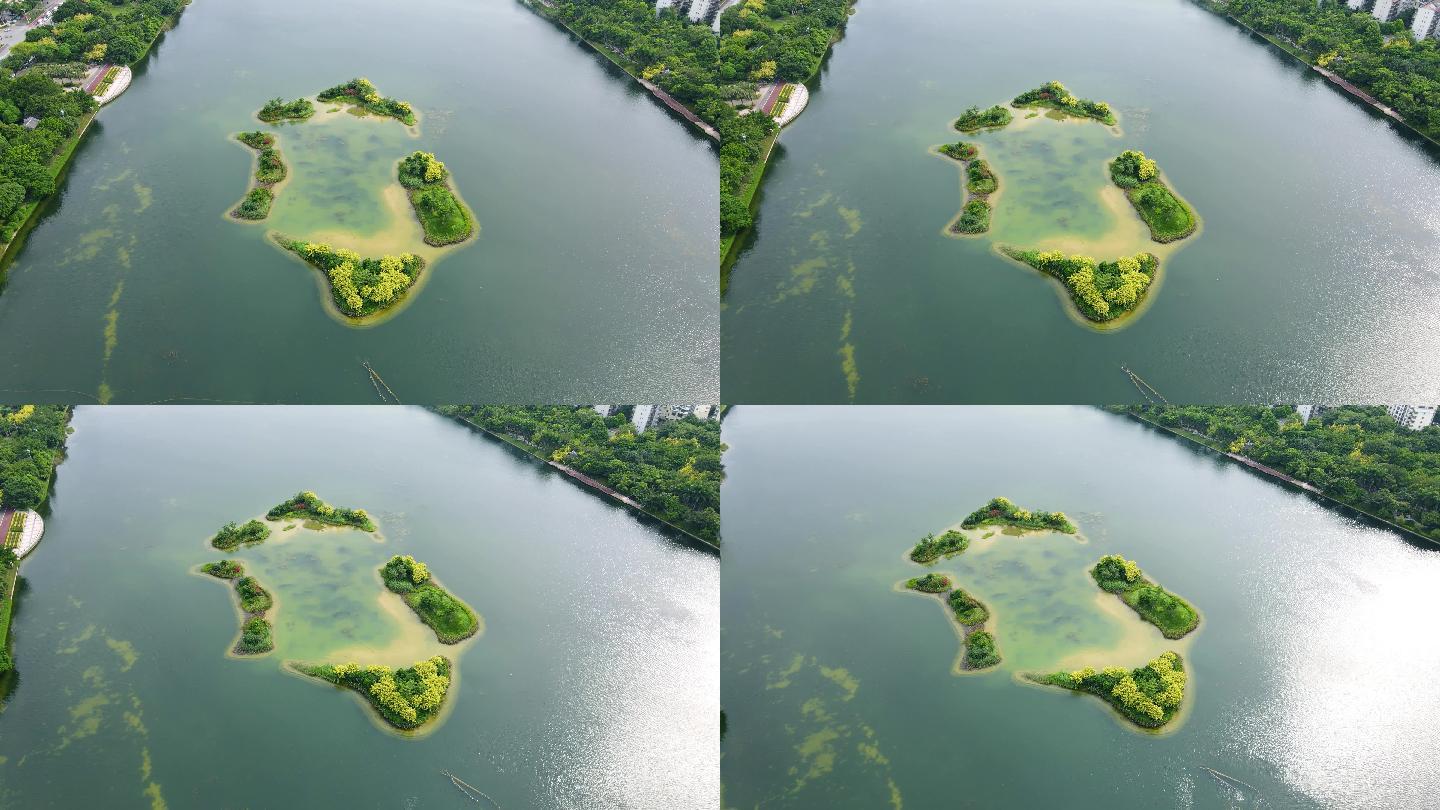 航拍南宁南湖公园小岛