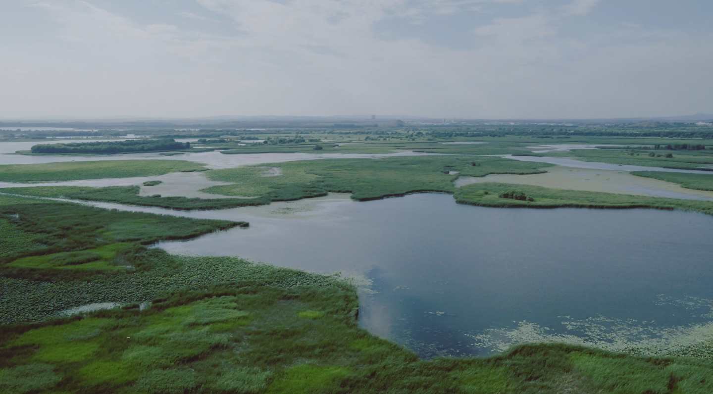 沈阳七星湿地公园航拍4K