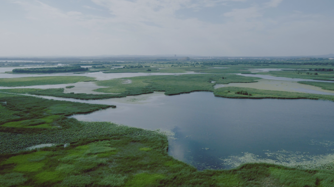 沈阳七星湿地公园航拍4K