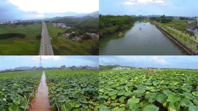 贵港荷美覃塘荷花基地美丽乡村乡村旅游